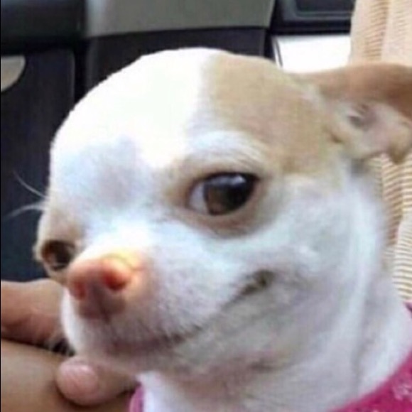 kimberlydom